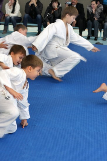 Айкидо-айкикай в Благовещенске