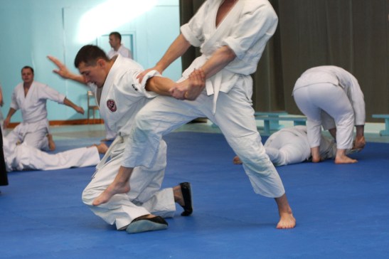 Семинар айкидо-айкикай