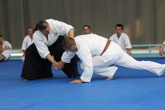 Семинар айкидо-айкикай