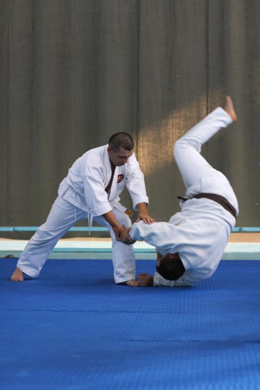 Семинар айкидо-айкикай