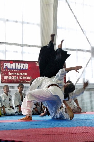 Айкидо Айкикай, Российский Союз Боевых Искусств