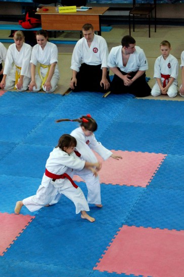 айкидо-айкикай Благовещенск, Белогорск