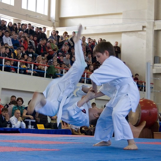 VIII фестиваль РСБИ