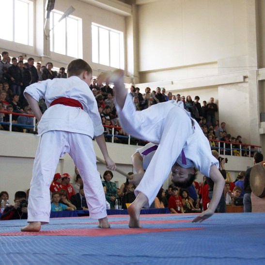 VIII фестиваль РСБИ