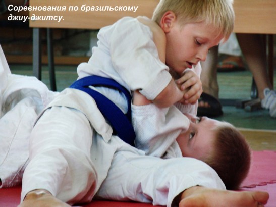 Будо-лагерь – 2013